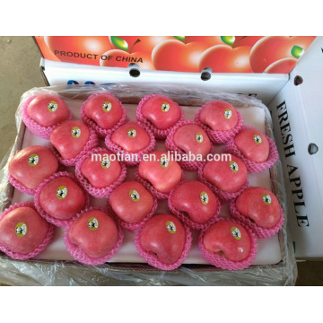 Manzana fresca Fruta fuji fresca en venta